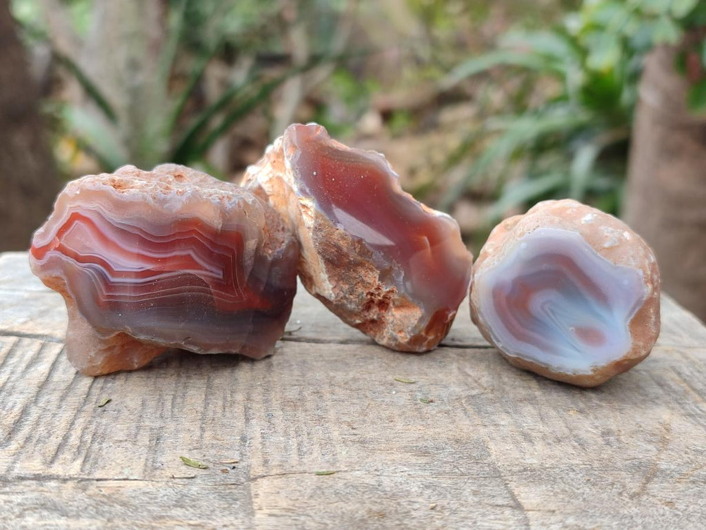 Polished One Side Red Shashe River Agate Nodules x 35 From Shashe River, Zimbabwe