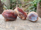 Polished One Side Red Shashe River Agate Nodules x 35 From Shashe River, Zimbabwe