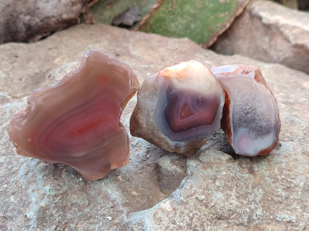 Polished One Side Red Shashe River Agate Nodules x 35 From Shashe River, Zimbabwe