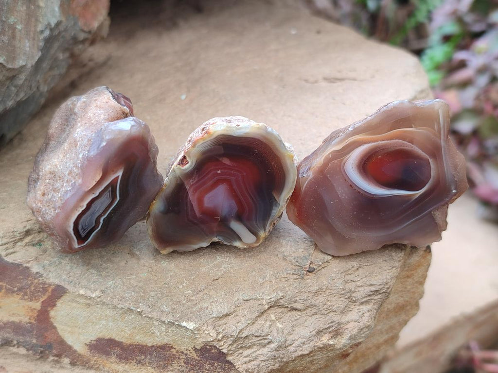 Polished One Side Red Shashe River Agate Nodules x 35 From Shashe River, Zimbabwe