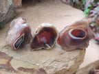 Polished One Side Red Shashe River Agate Nodules x 35 From Shashe River, Zimbabwe