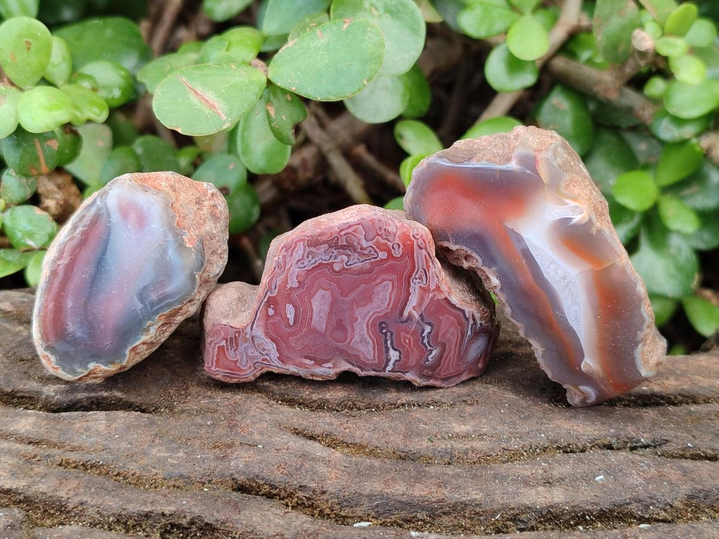 Polished One Side Red Shashe River Agate Nodules x 35 From Shashe River, Zimbabwe