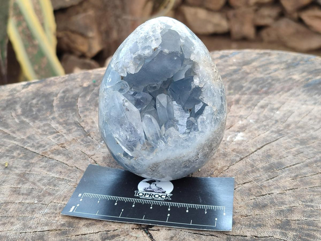 Polished and Natural Blue Celestite Eggs x 2 From Sakoany, Madagascar