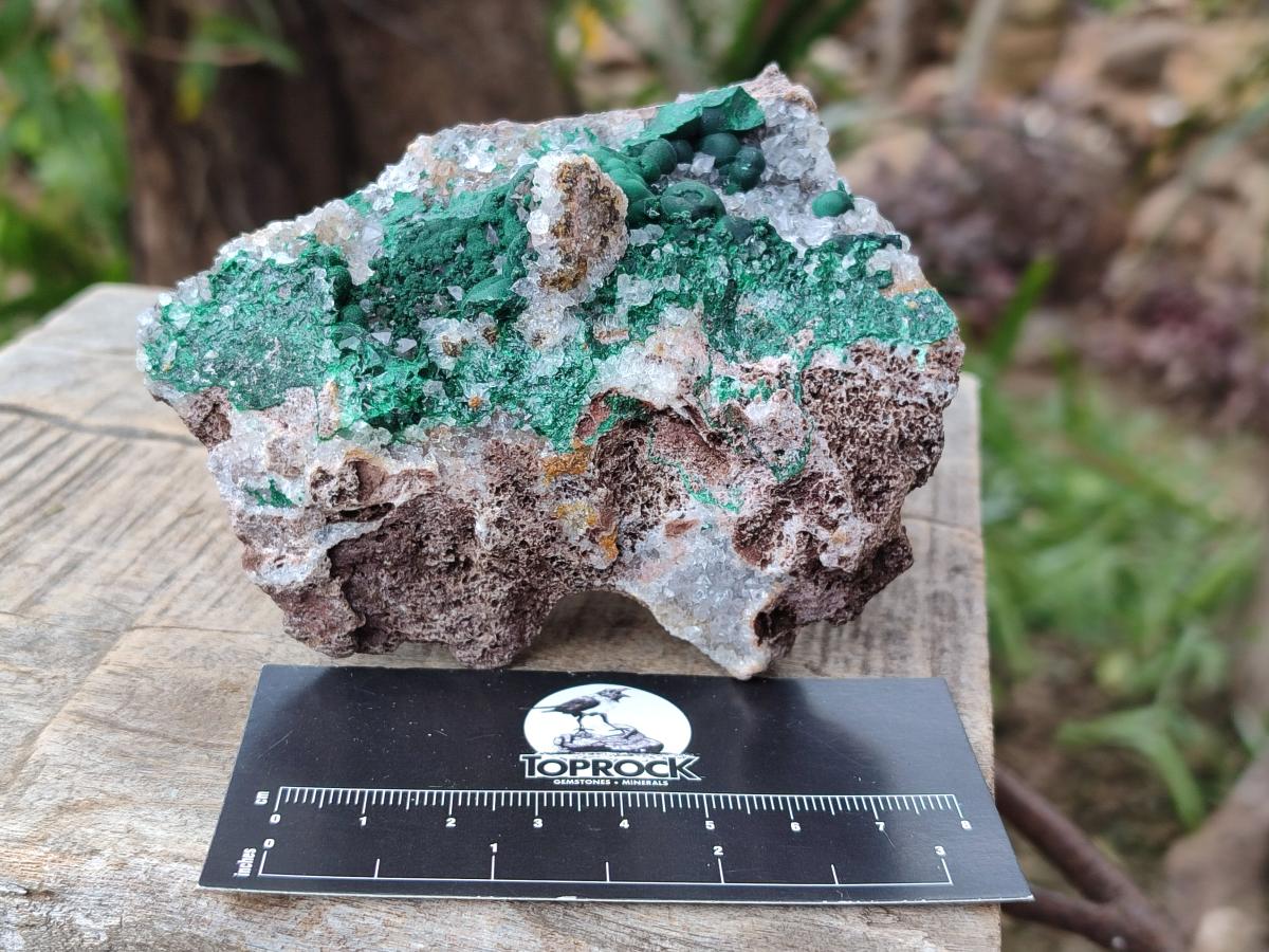 Natural Ball Malachite Specimens on Dolomite Matrix x 2 From Mindingi Mine, Kambove, Congo