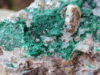 Natural Ball Malachite Specimens on Dolomite Matrix x 2 From Mindingi Mine, Kambove, Congo