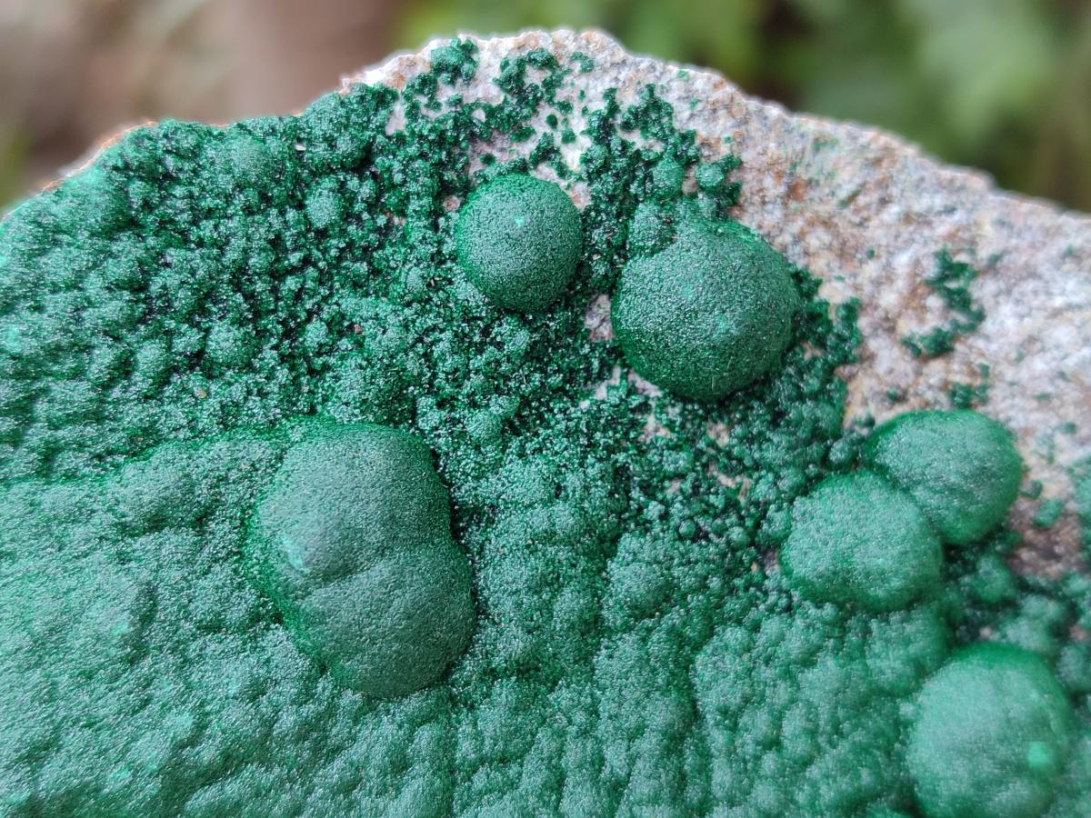 Natural Ball Malachite Specimens on Dolomite Matrix x 2 From Mindingi Mine, Kambove, Congo