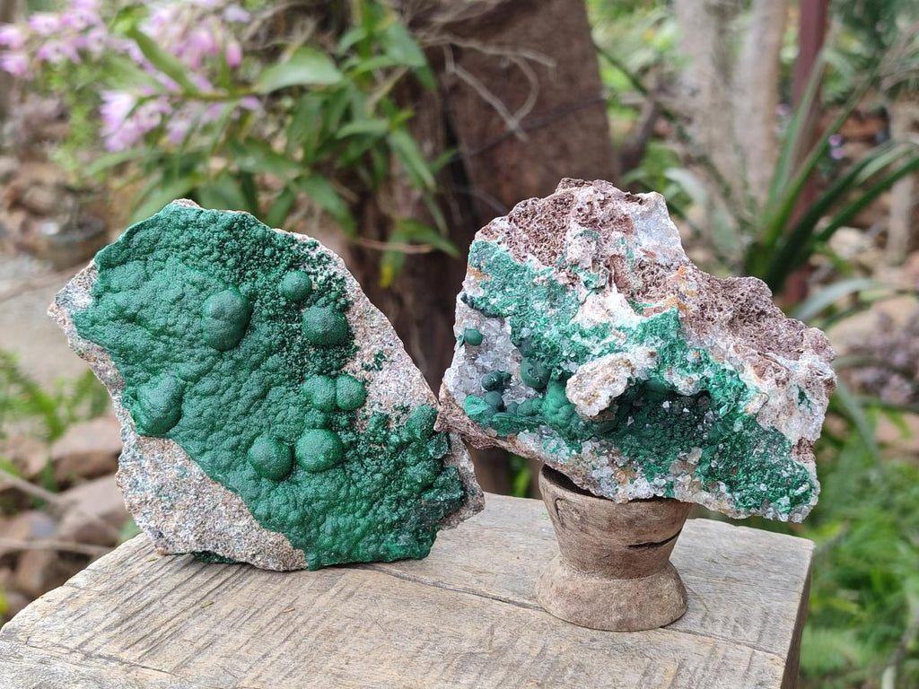 Natural Ball Malachite Specimens on Dolomite Matrix x 2 From Mindingi Mine, Kambove, Congo