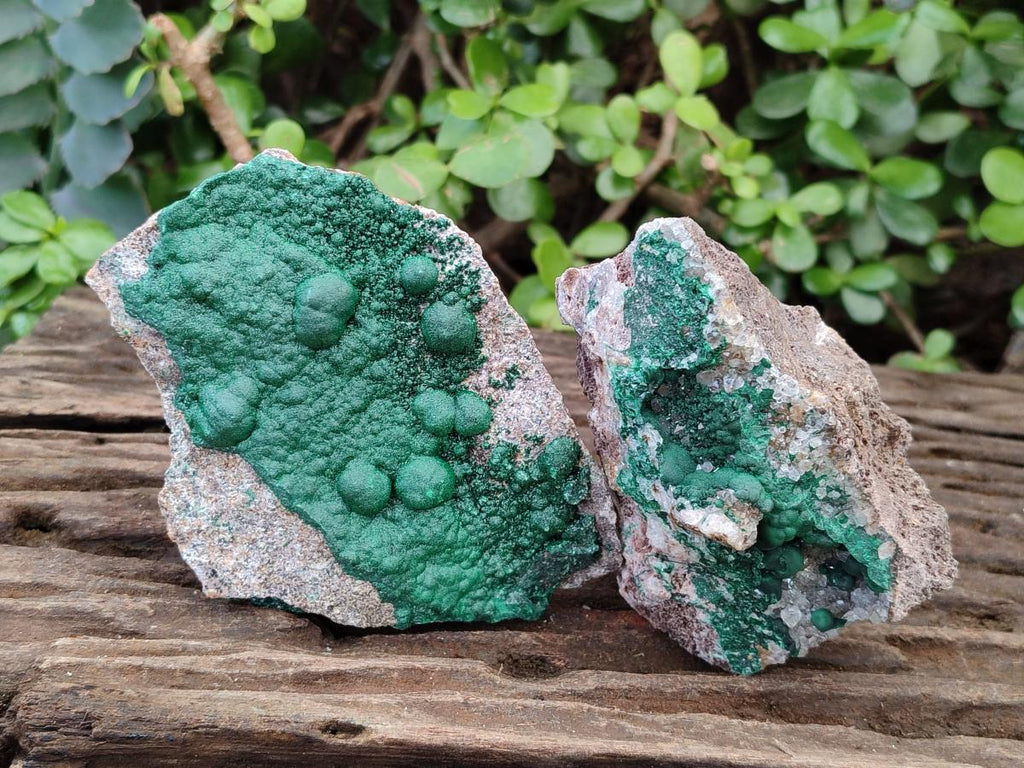 Natural Ball Malachite Specimens on Dolomite Matrix x 2 From Mindingi Mine, Kambove, Congo