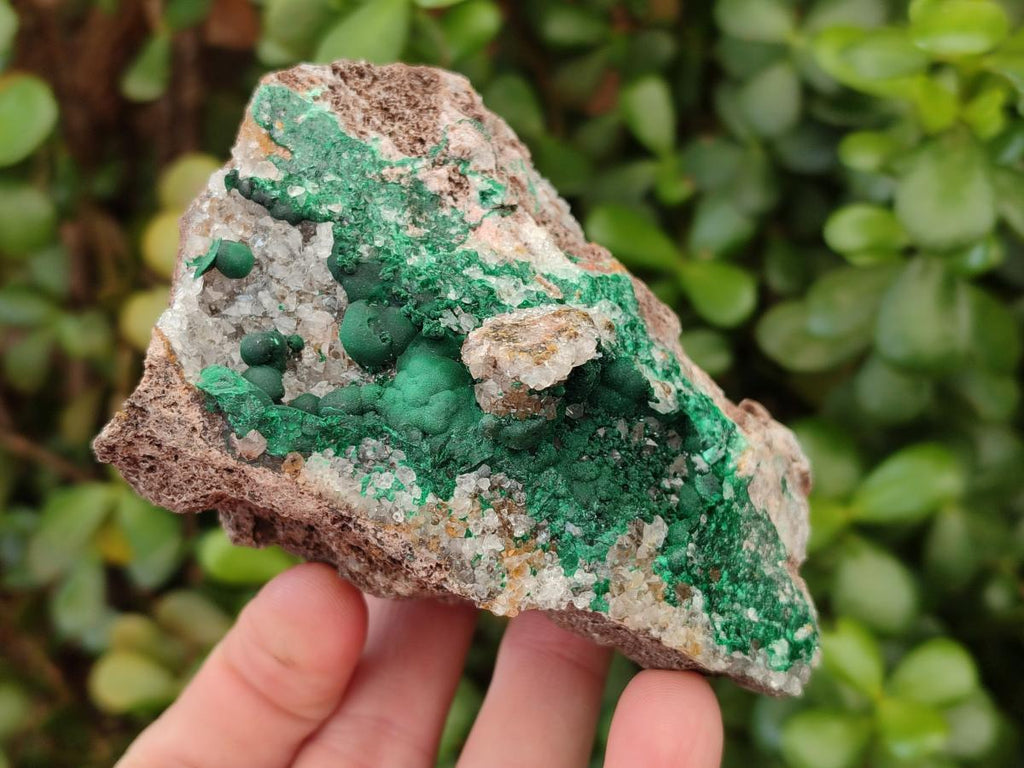 Natural Ball Malachite Specimens on Dolomite Matrix x 2 From Mindingi Mine, Kambove, Congo