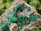 Natural Ball Malachite Specimens on Dolomite Matrix x 2 From Mindingi Mine, Kambove, Congo