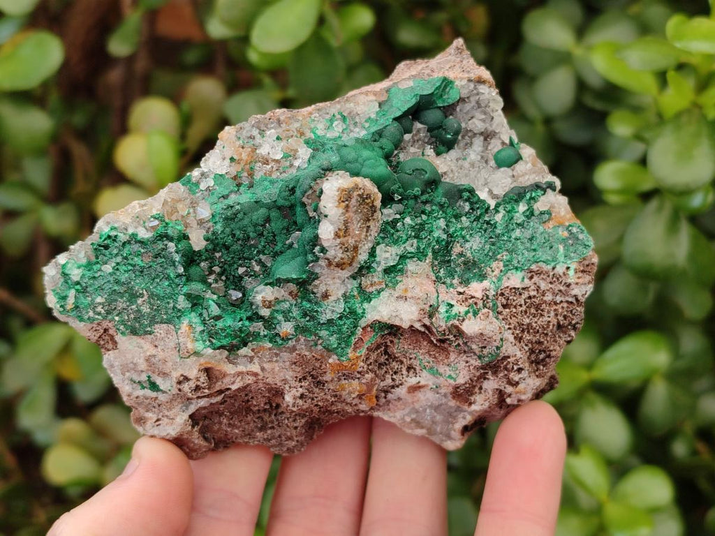 Natural Ball Malachite Specimens on Dolomite Matrix x 2 From Mindingi Mine, Kambove, Congo