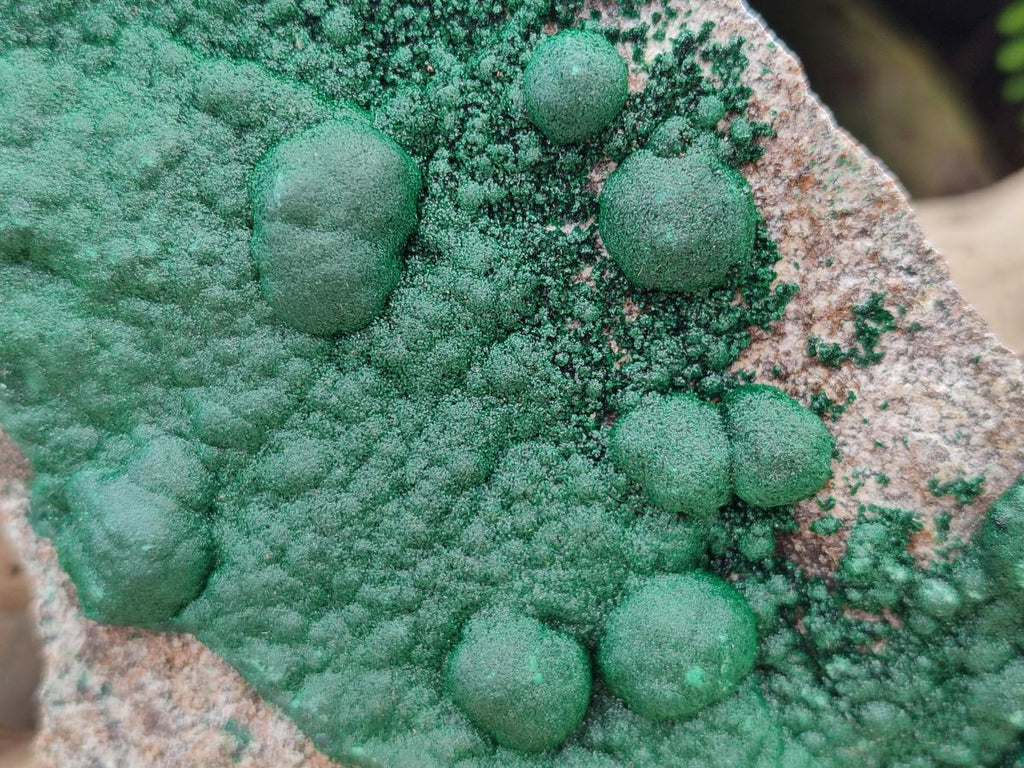 Natural Ball Malachite Specimens on Dolomite Matrix x 2 From Mindingi Mine, Kambove, Congo