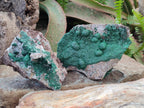 Natural Ball Malachite Specimens on Dolomite Matrix x 2 From Mindingi Mine, Kambove, Congo