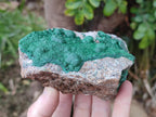 Natural Ball Malachite Specimens on Dolomite Matrix x 2 From Mindingi Mine, Kambove, Congo