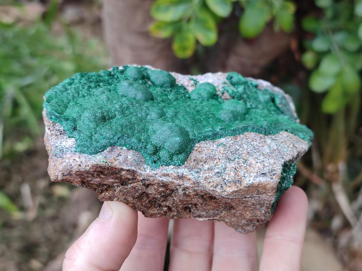 Natural Ball Malachite Specimens on Dolomite Matrix x 2 From Mindingi Mine, Kambove, Congo