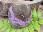 Polished Stichtite Standing Display Pieces x 2 From Barberton, South Africa