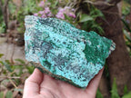 Natural Drusy Coated Chrysocolla Specimens with Malachite and Heterogenite x 2 From Lupoto Mine, Congo