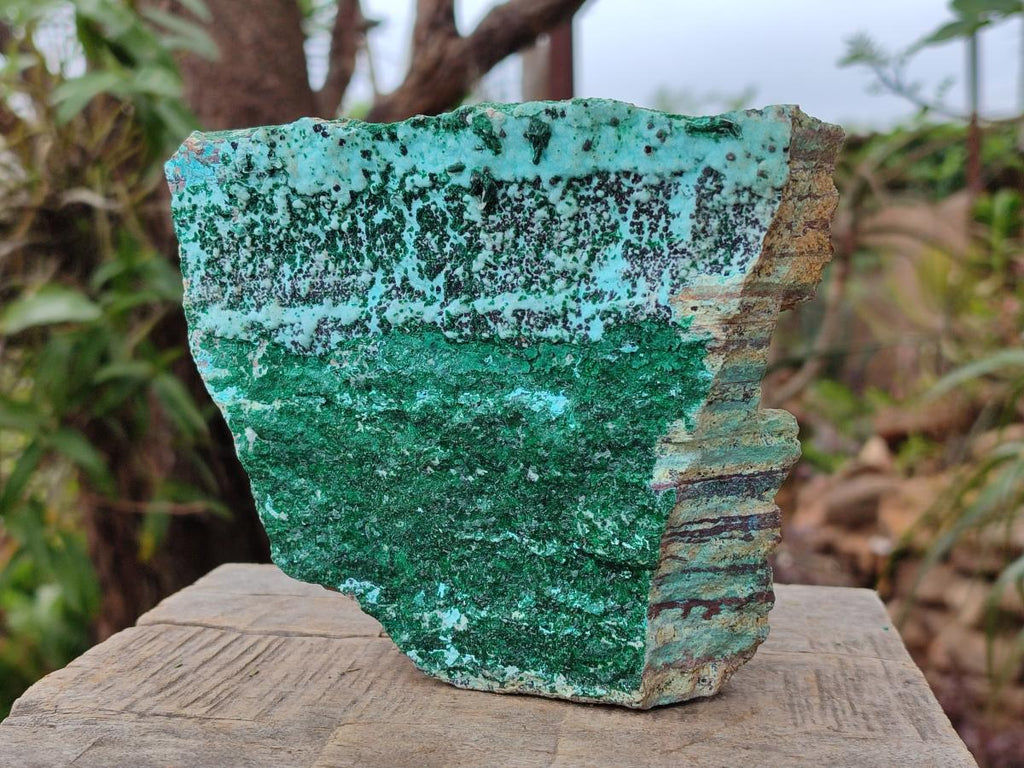 Natural Drusy Coated Chrysocolla Specimens with Malachite and Heterogenite x 2 From Lupoto Mine, Congo
