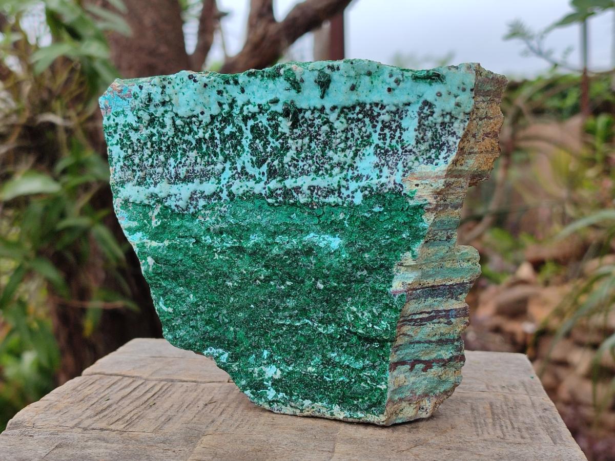 Natural Drusy Coated Chrysocolla Specimens with Malachite and Heterogenite x 2 From Lupoto Mine, Congo