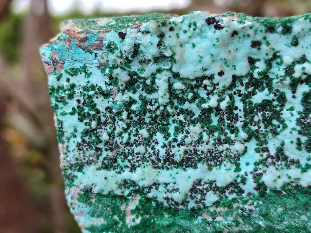Natural Drusy Coated Chrysocolla Specimens with Malachite and Heterogenite x 2 From Lupoto Mine, Congo
