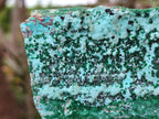 Natural Drusy Coated Chrysocolla Specimens with Malachite and Heterogenite x 2 From Lupoto Mine, Congo