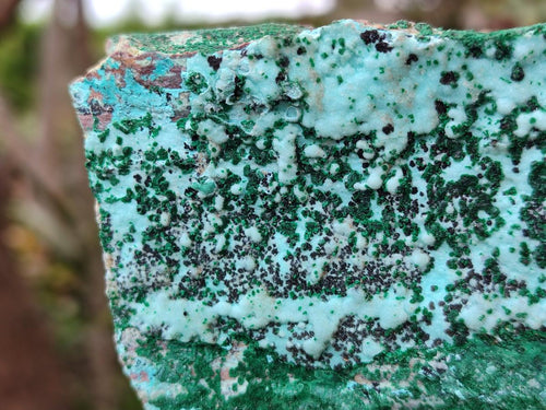 Natural Drusy Coated Chrysocolla Specimens with Malachite and Heterogenite x 2 From Lupoto Mine, Congo - Toprock Gemstones and Minerals 