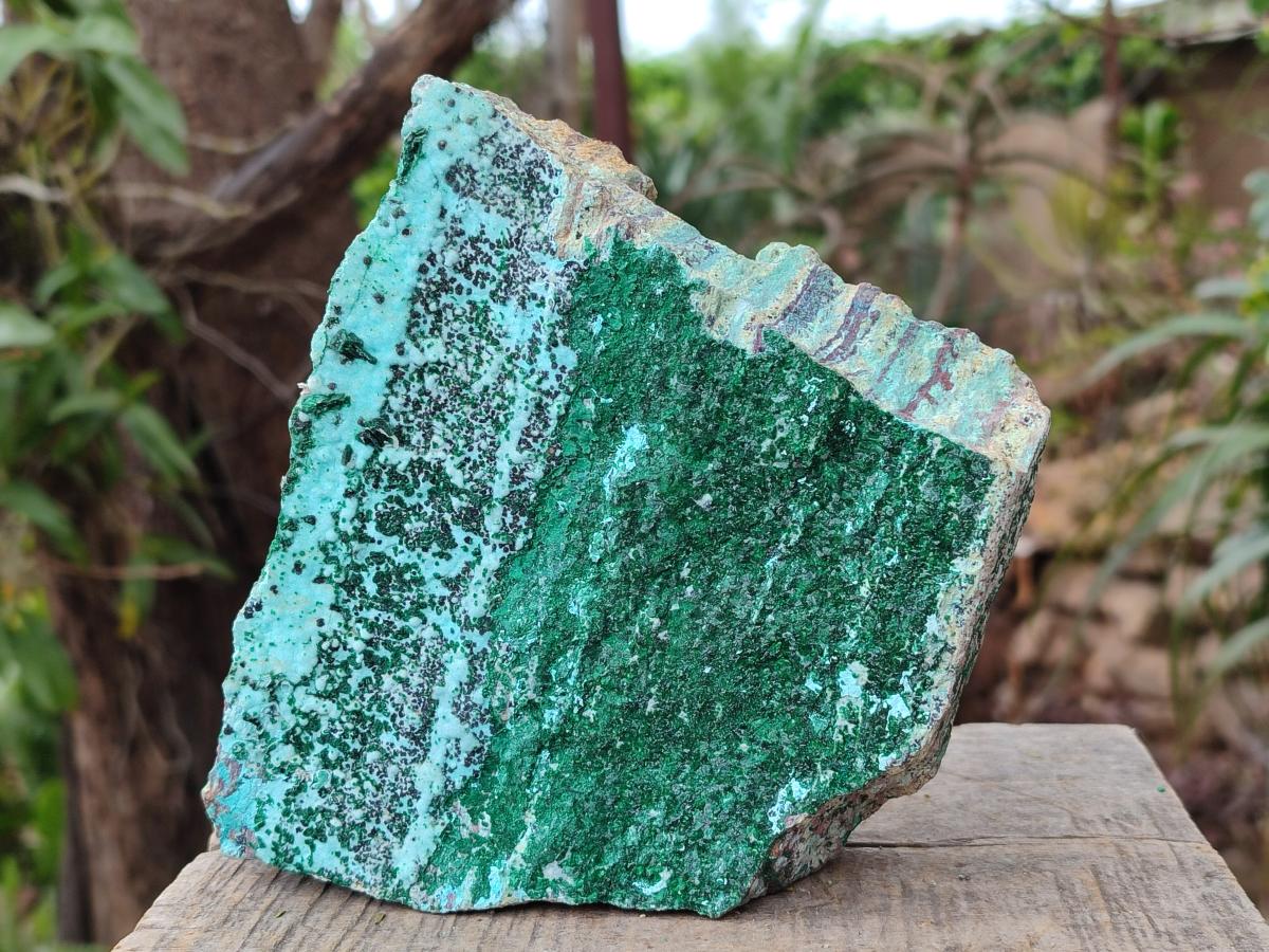 Natural Drusy Coated Chrysocolla Specimens with Malachite and Heterogenite x 2 From Lupoto Mine, Congo