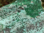 Natural Drusy Coated Chrysocolla Specimens with Malachite and Heterogenite x 2 From Lupoto Mine, Congo