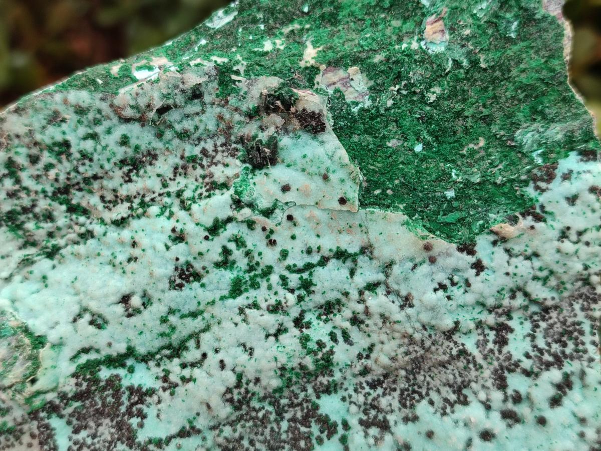 Natural Drusy Coated Chrysocolla Specimens with Malachite and Heterogenite x 2 From Lupoto Mine, Congo