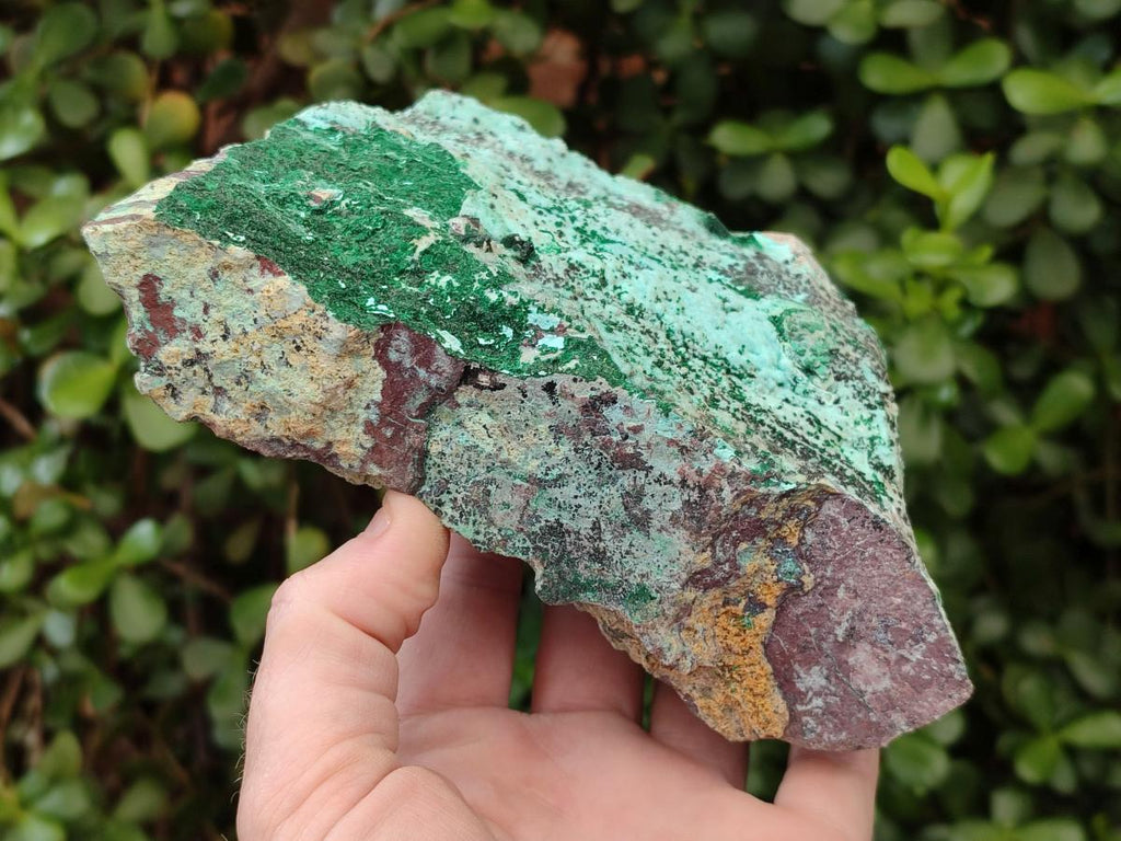 Natural Drusy Coated Chrysocolla Specimens with Malachite and Heterogenite x 2 From Lupoto Mine, Congo