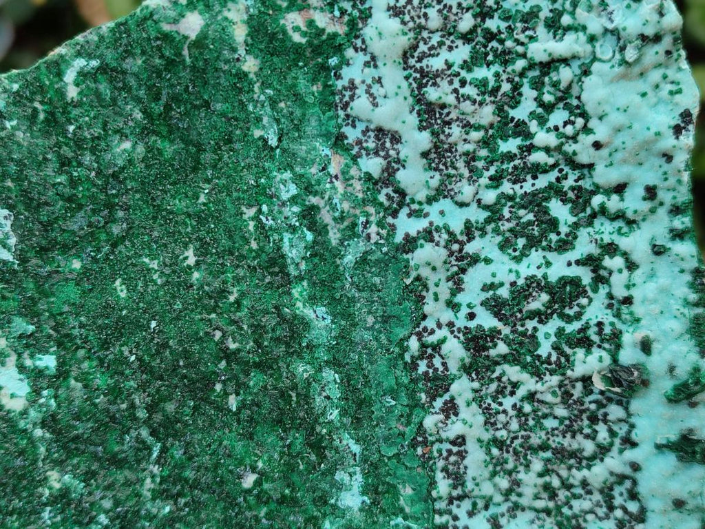Natural Drusy Coated Chrysocolla Specimens with Malachite and Heterogenite x 2 From Lupoto Mine, Congo