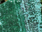 Natural Drusy Coated Chrysocolla Specimens with Malachite and Heterogenite x 2 From Lupoto Mine, Congo