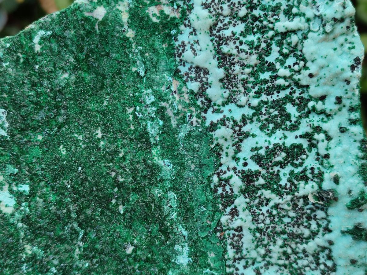 Natural Drusy Coated Chrysocolla Specimens with Malachite and Heterogenite x 2 From Lupoto Mine, Congo