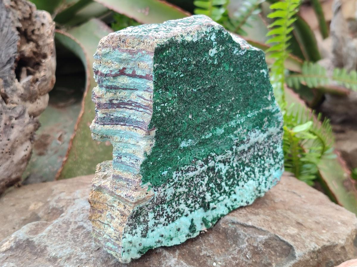 Natural Drusy Coated Chrysocolla Specimens with Malachite and Heterogenite x 2 From Lupoto Mine, Congo