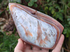 Polished and Natural Red Shashe River Sardonyx Agate Standing Display Pieces x 2 From Shashe River, Zimbabwe