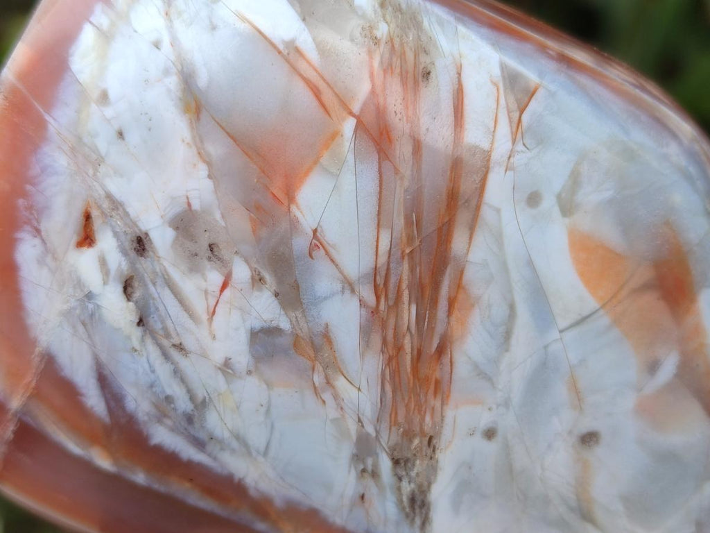 Polished and Natural Red Shashe River Sardonyx Agate Standing Display Pieces x 2 From Shashe River, Zimbabwe
