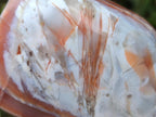 Polished and Natural Red Shashe River Sardonyx Agate Standing Display Pieces x 2 From Shashe River, Zimbabwe
