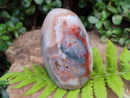 Polished and Natural Red Shashe River Sardonyx Agate Standing Display Pieces x 2 From Shashe River, Zimbabwe