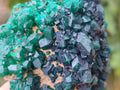 Natural Cabinet Size Dioptase Specimens on Dolomite Matrix x 3 From Likasi, Congo