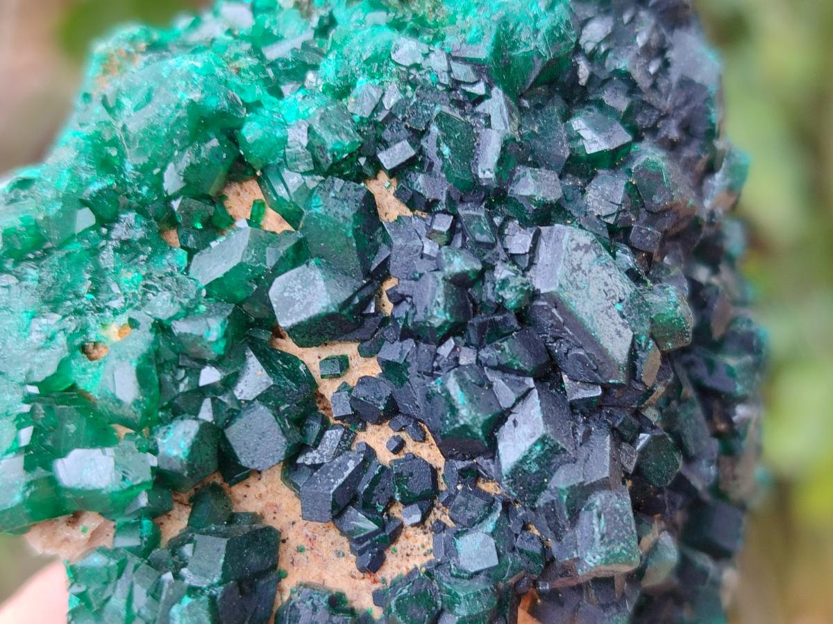 Natural Cabinet Size Dioptase Specimens on Dolomite Matrix x 3 From Likasi, Congo