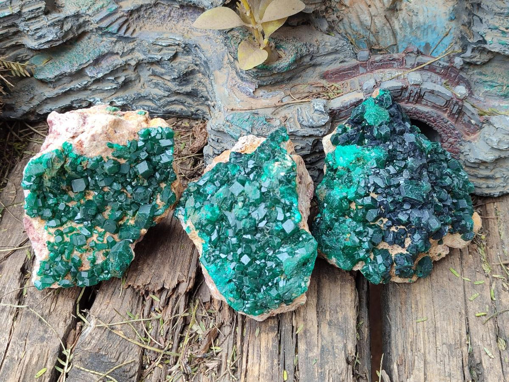 Natural Cabinet Size Dioptase Specimens on Dolomite Matrix x 3 From Likasi, Congo