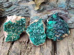 Natural Cabinet Size Dioptase Specimens on Dolomite Matrix x 3 From Likasi, Congo
