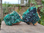 Natural Cabinet Size Dioptase Specimens on Dolomite Matrix x 3 From Likasi, Congo