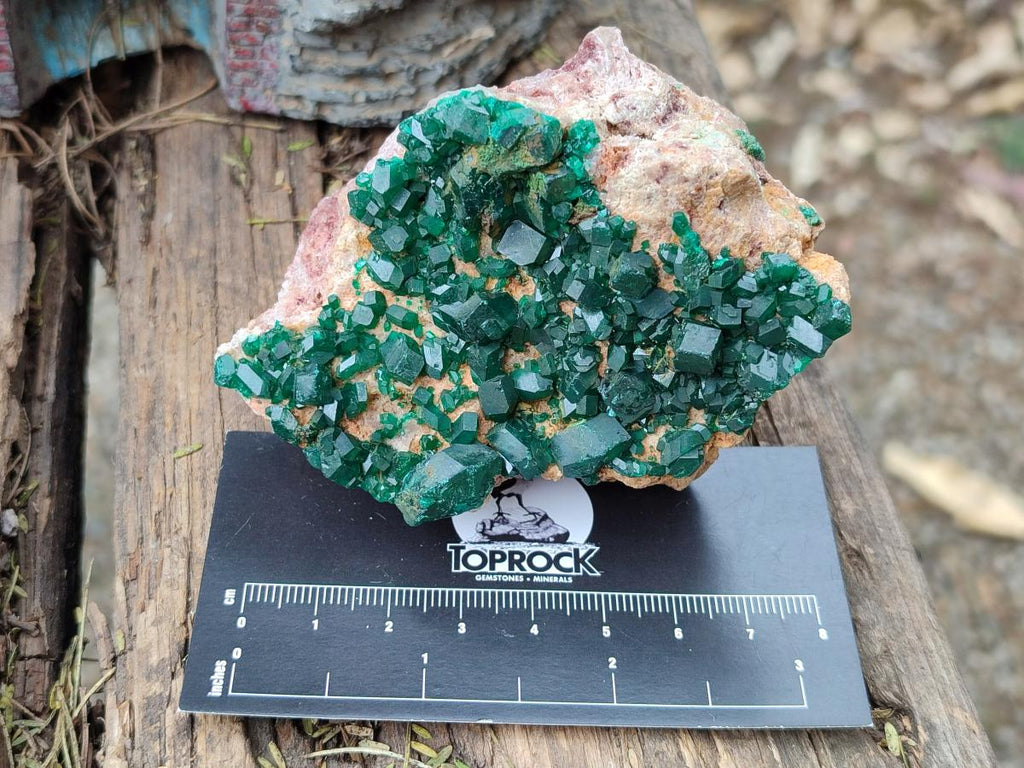 Natural Cabinet Size Dioptase Specimens on Dolomite Matrix x 3 From Likasi, Congo