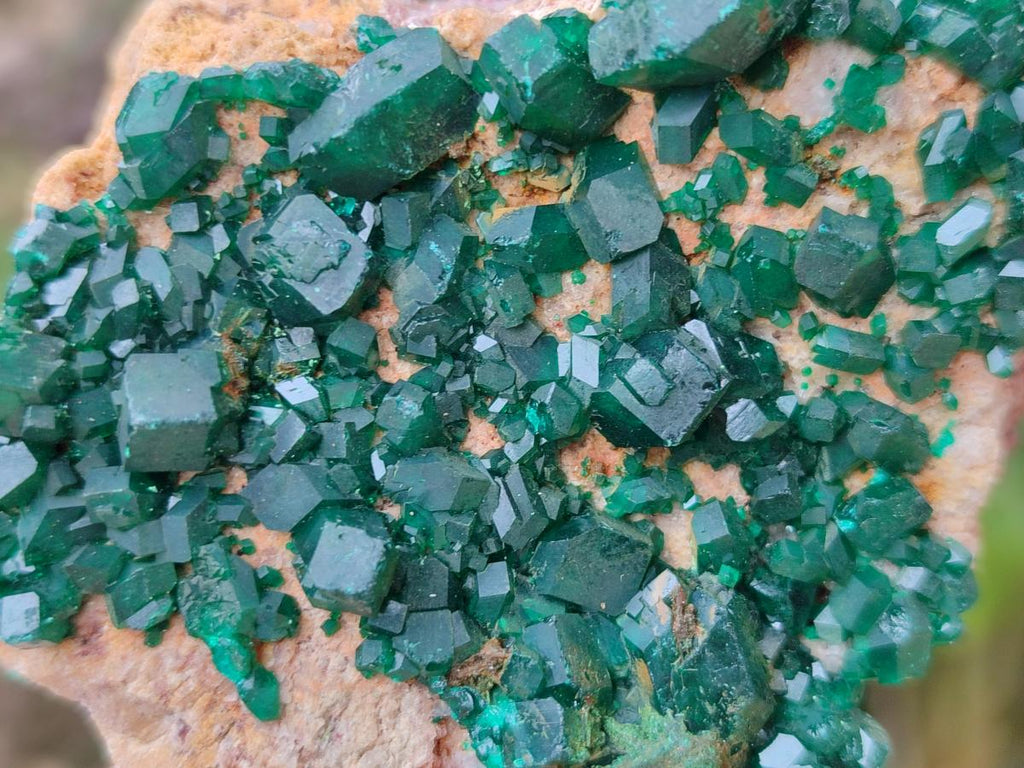 Natural Cabinet Size Dioptase Specimens on Dolomite Matrix x 3 From Likasi, Congo