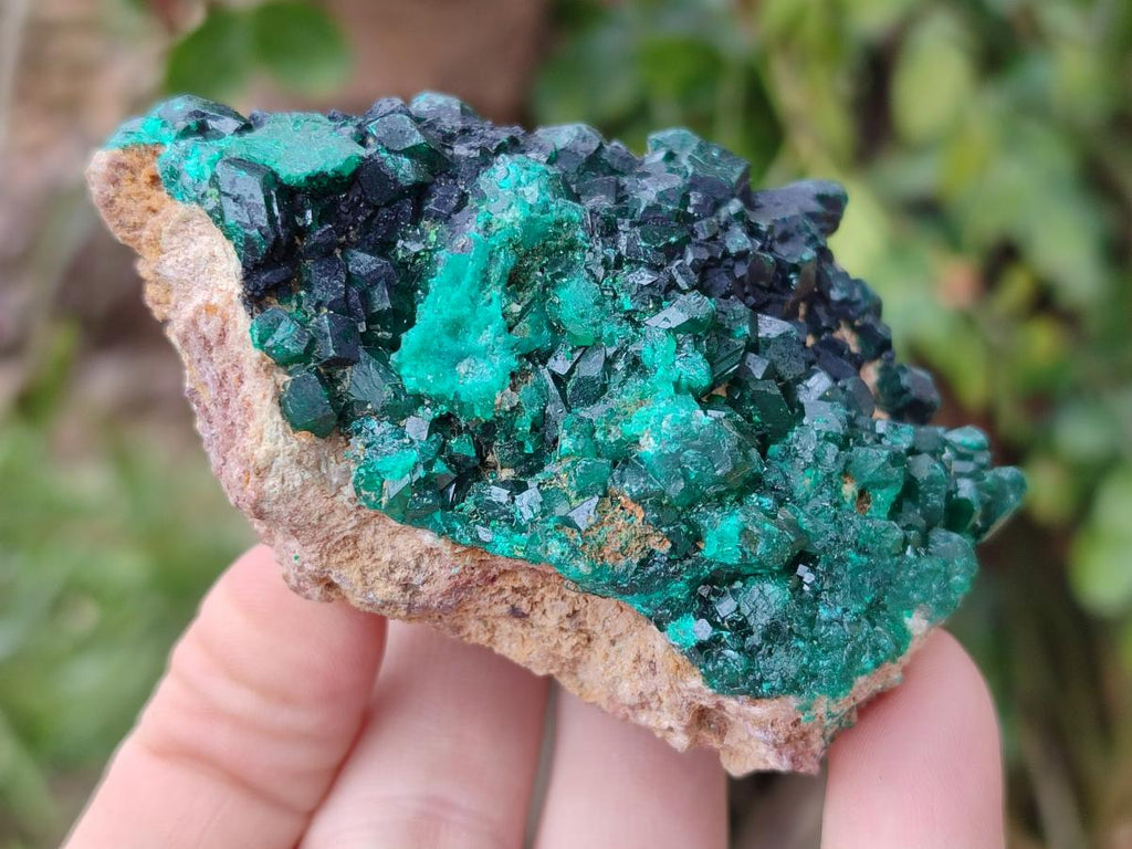 Natural Cabinet Size Dioptase Specimens on Dolomite Matrix x 3 From Likasi, Congo