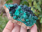 Natural Cabinet Size Dioptase Specimens on Dolomite Matrix x 3 From Likasi, Congo