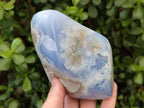 Polished Blue Lace Agate Standing Display Pieces x 2 From Nsanje, Malawi