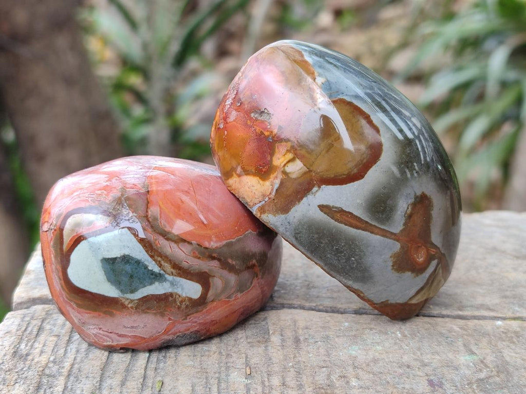 Polished One Side Polychrome Jasper Nodules x 12 From Androka, Madagascar