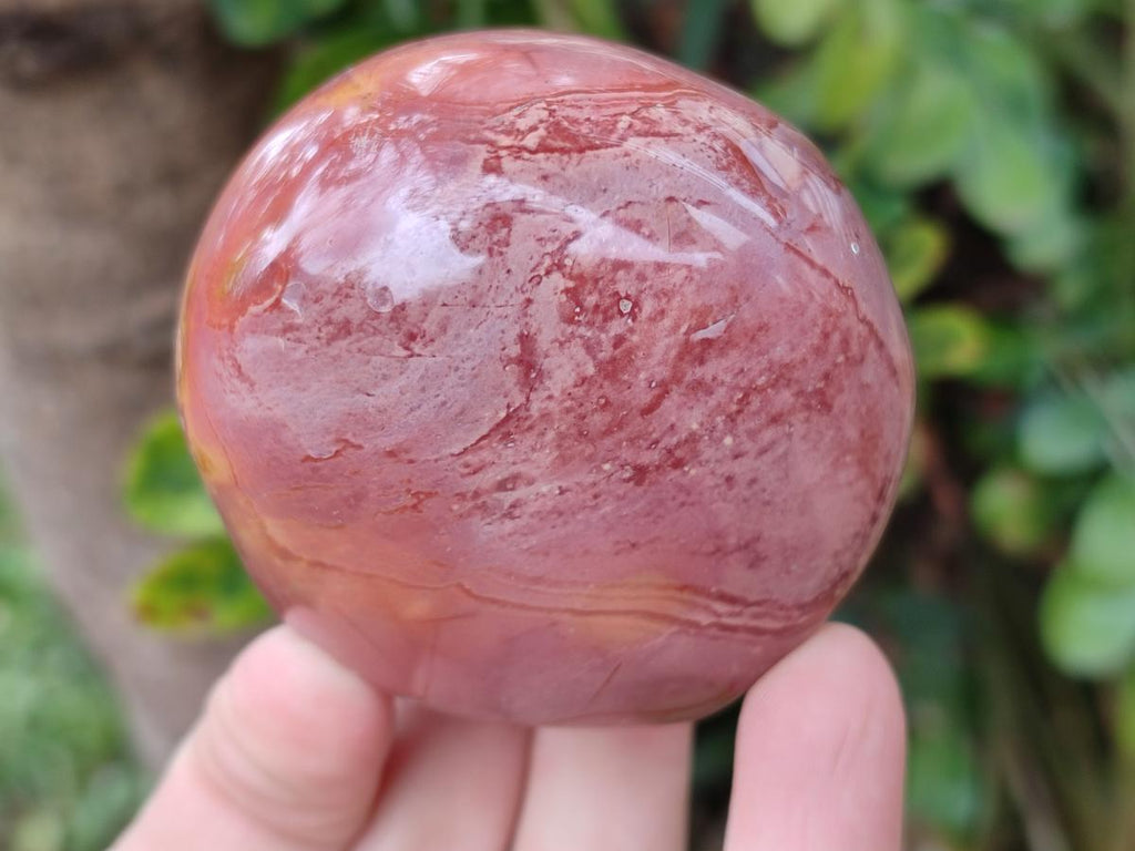 Polished One Side Polychrome Jasper Nodules x 12 From Androka, Madagascar